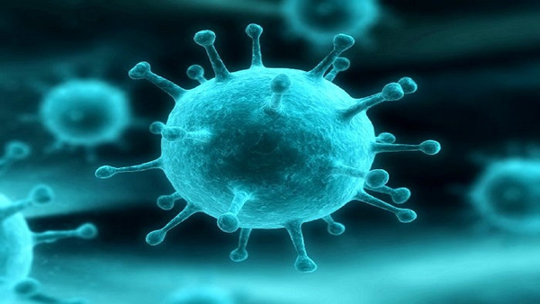 ویروس کرونا؛ احتمال مرگ چقدر است؟