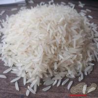 برنج فجرسوزنی