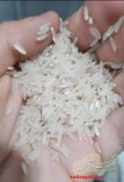 برنج دانه بلند ، خوش طمع و محلی
