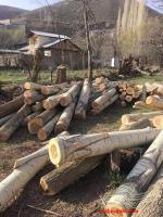 خریدار چوب باغی و تنه درخت به مقدار بالا