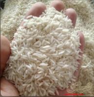 برنج هاشمی درجه یک زیر قیمت