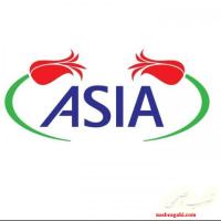 فروش محصولات دکوری ASIA