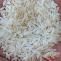 فروش عمده برنج طارم هاشمی معطر فریدونکنار