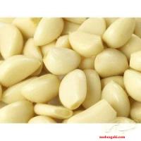 فروش سیر تازه حبه ای و سیر خشک شده
