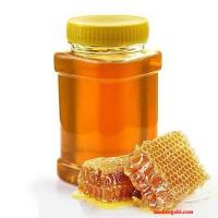 ارائه بهترین عسل های طبیعی - کوهی و کندویی درجه یک