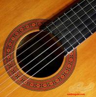 آموزش گیتار کلاسیک و پاپ به بانوان(بصورت مجازی)
