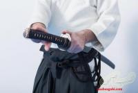 آموزش ای آی دو(Iaido)