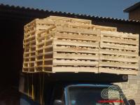 تولید وپخش پالت چوبی بابهترین کیفیت وقیمت 09190107631