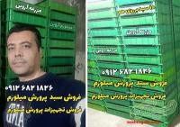 سبد پرورش میل ورم