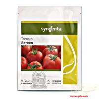 بذر گوجه فرنگی سرین سینجنتا