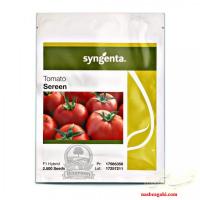 بذر گوجه سرین سینجنتا