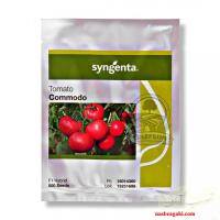 بذر گوجه کومودو سینجنتا