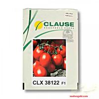 بذر گوجه CLX 38122 کلوز