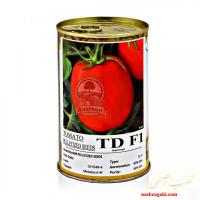بذر گوجه فرنگی تی دی TD