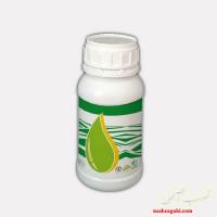 رنگ خوراکی و طبیعی کلروفیل برای انواع شیر طعم دار