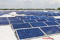 پنل خورشیدی 620 وات trina solar